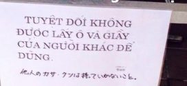 cảnh báo người việt trộm cắp